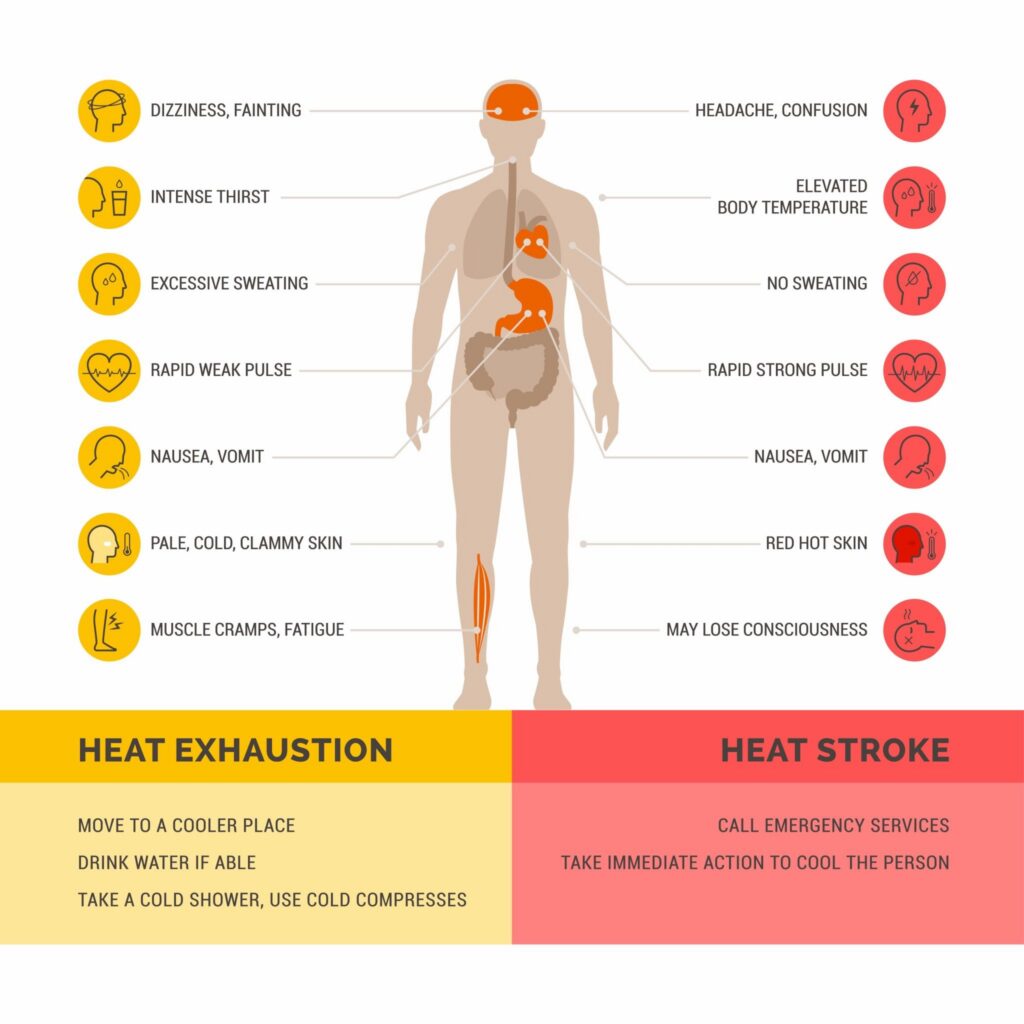 Beat the Heat: Surviving a Heat Wave